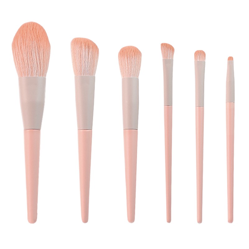 6 pcs Professional Makeup Brush Set