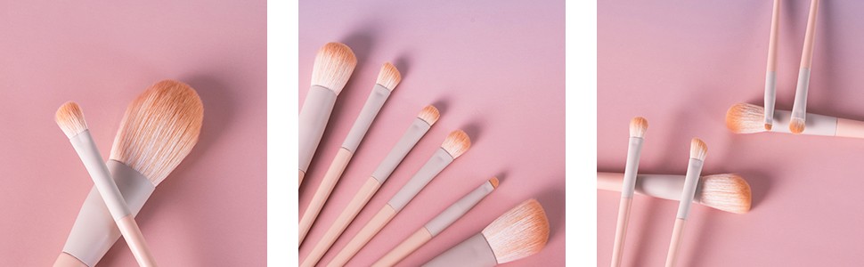 6 pcs Professional Makeup Brush Set